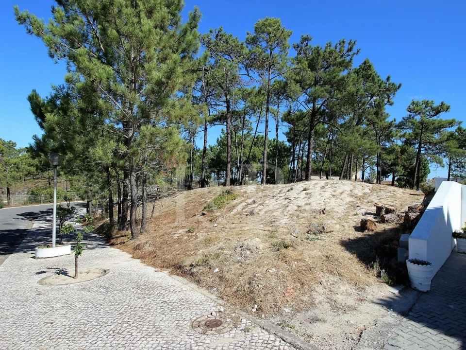 Terreno para Venda em Carvalhal Foto 7