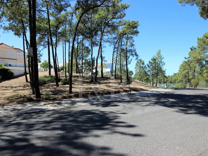 Terreno para Venda em Carvalhal Foto 3