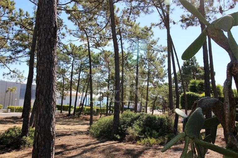 Terreno para Venda em Carvalhal Foto 5