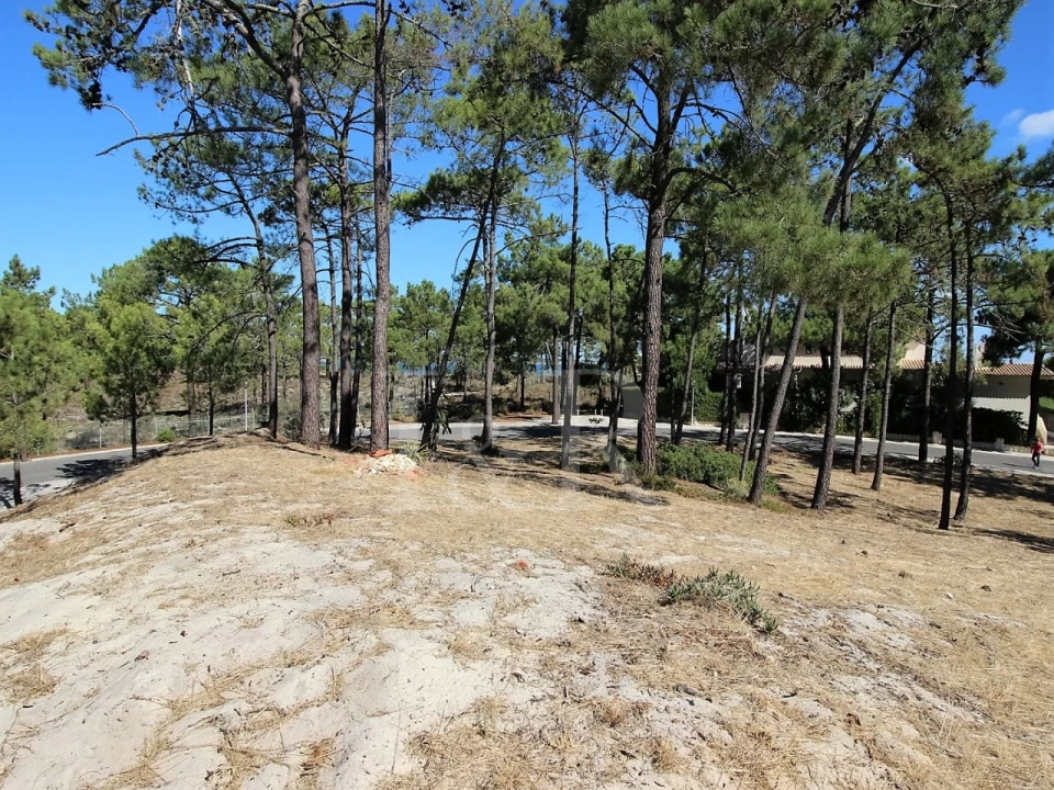 Moradia T4 para Venda em Carvalhal Foto 25