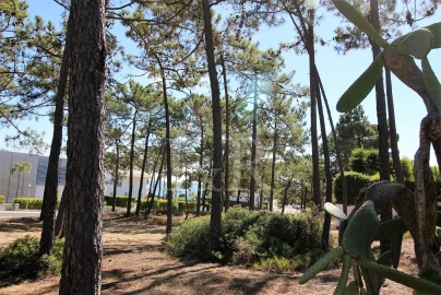Moradia T4 para Venda em Carvalhal