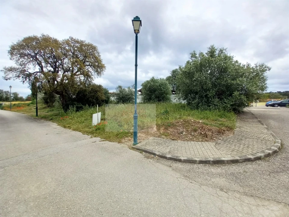 Terreno para Venda em Carregueira Foto 2