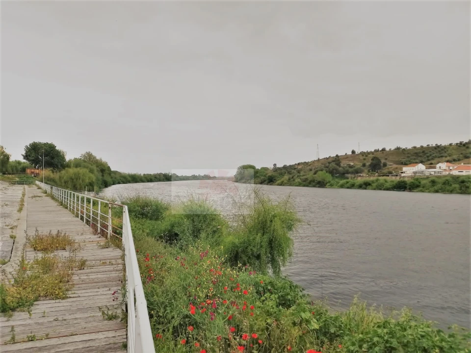 Terreno para Venda em Carregueira Foto 4