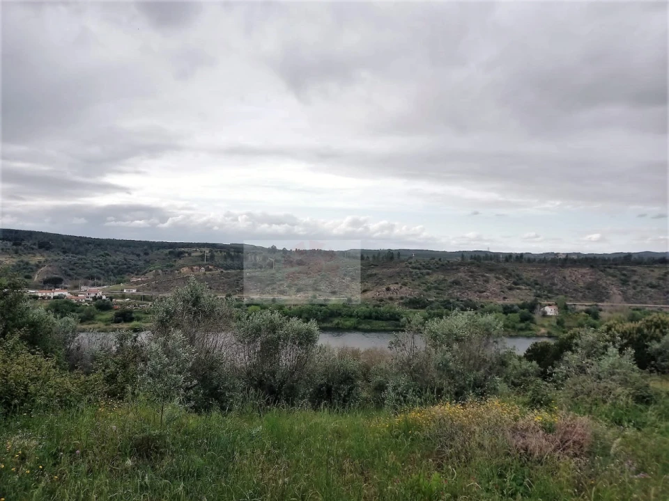 Terreno para Venda em Carregueira Foto 6