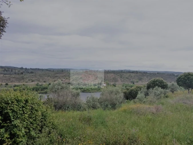 Terreno para Venda em Carregueira Foto 5