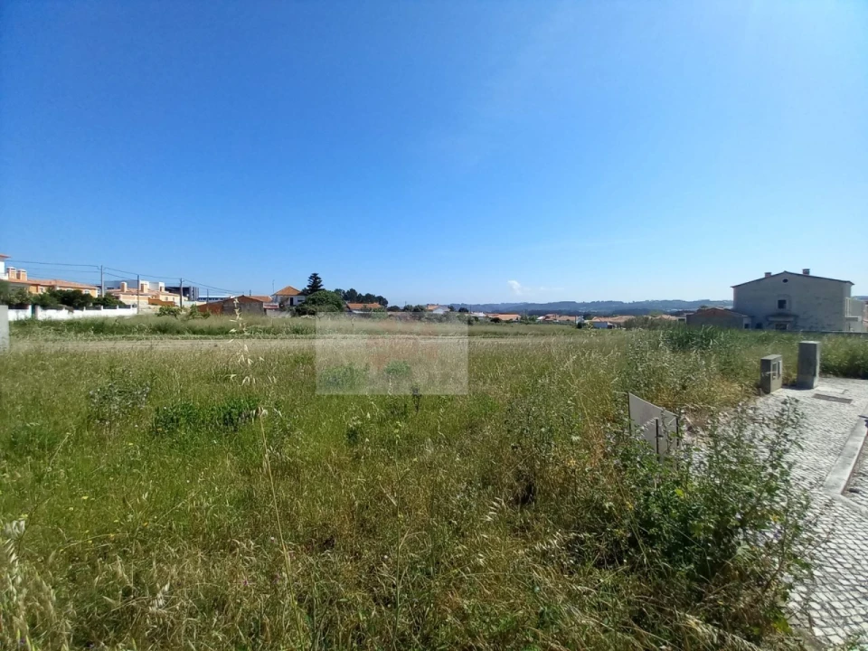 Terreno para Venda em Tornada e Salir do Porto Foto 1