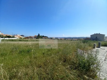 Terreno para Venda em Tornada e Salir do Porto