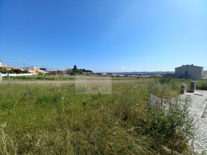 Terreno para Venda em Tornada e Salir do Porto Foto 1