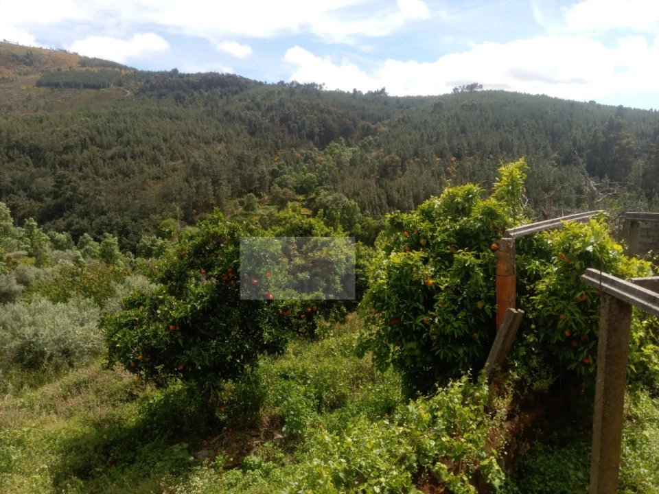 Moradia T3 para Venda em Souto da Casa Foto 4