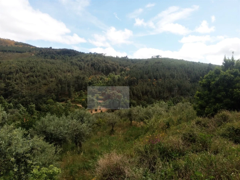 Moradia T3 para Venda em Souto da Casa Foto 6