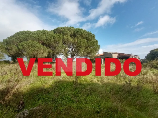 Quinta para Venda em Santa Maria, São Pedro e Sobral da Lagoa