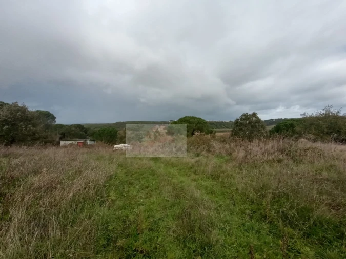 Quinta para Venda em Santa Maria, São Pedro e Sobral da Lagoa Foto 2