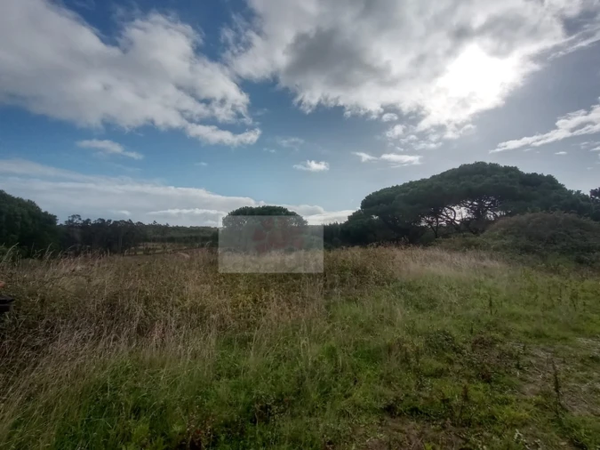 Quinta para Venda em Santa Maria, São Pedro e Sobral da Lagoa Foto 3