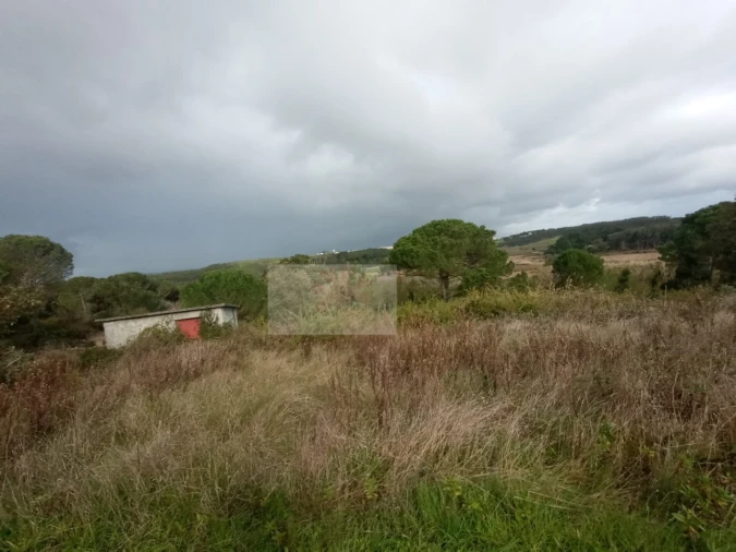 Quinta para Venda em Santa Maria, São Pedro e Sobral da Lagoa Foto 4
