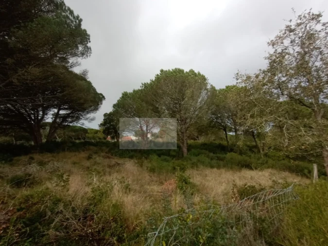 Quinta para Venda em Santa Maria, São Pedro e Sobral da Lagoa Foto 5