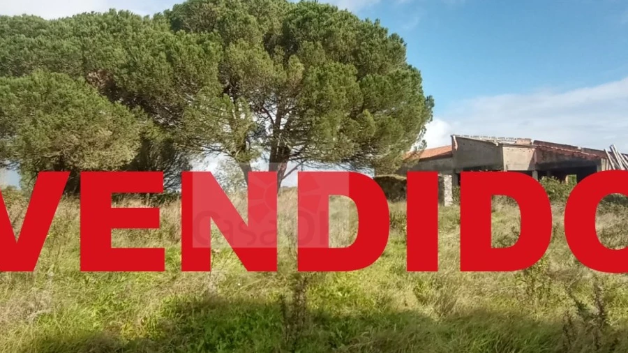 Quinta para Venda em Santa Maria, São Pedro e Sobral da Lagoa