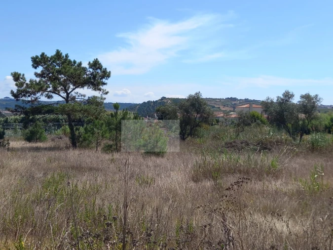 Terreno para Venda em Santa Maria, São Pedro e Sobral da Lagoa Foto 3