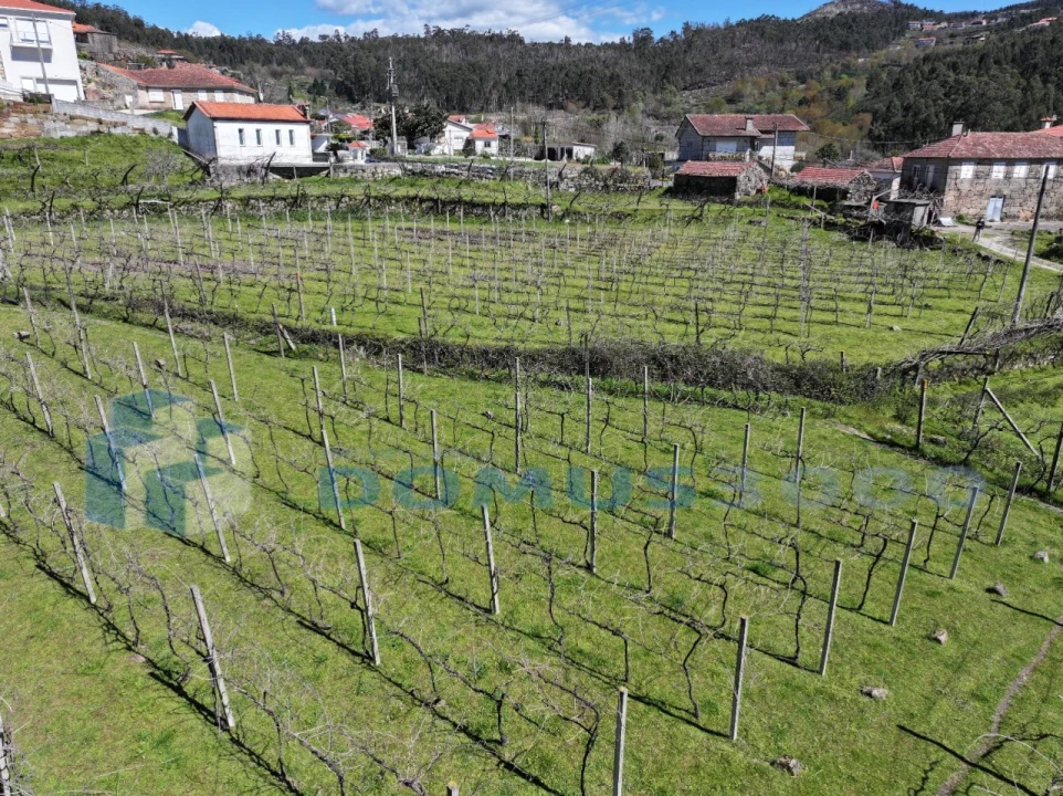 Quinta para Venda em Sande e São Lourenço Foto 6