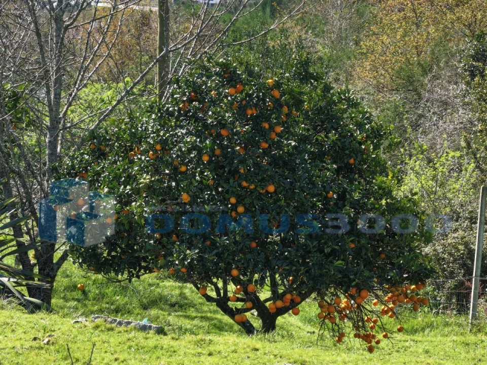 Quinta para Venda em Sande e São Lourenço Foto 8