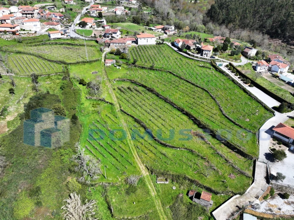 Quinta para Venda em Sande e São Lourenço Foto 9