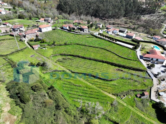 Quinta para Venda em Sande e São Lourenço