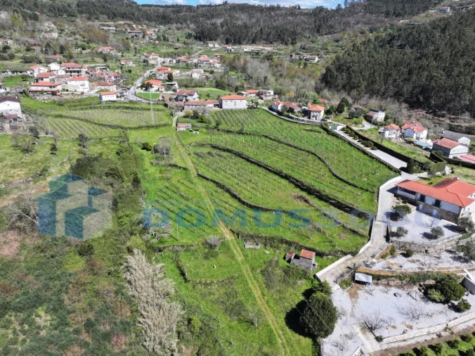 Quinta para Venda em Sande e São Lourenço Foto 2