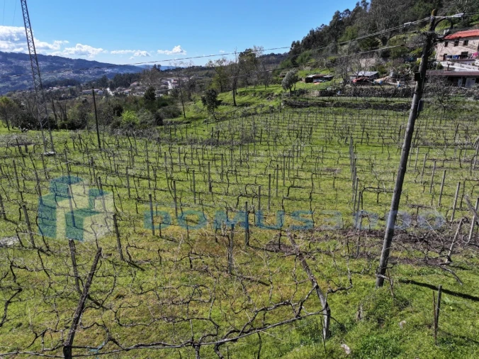 Quinta para Venda em Sande e São Lourenço Foto 11