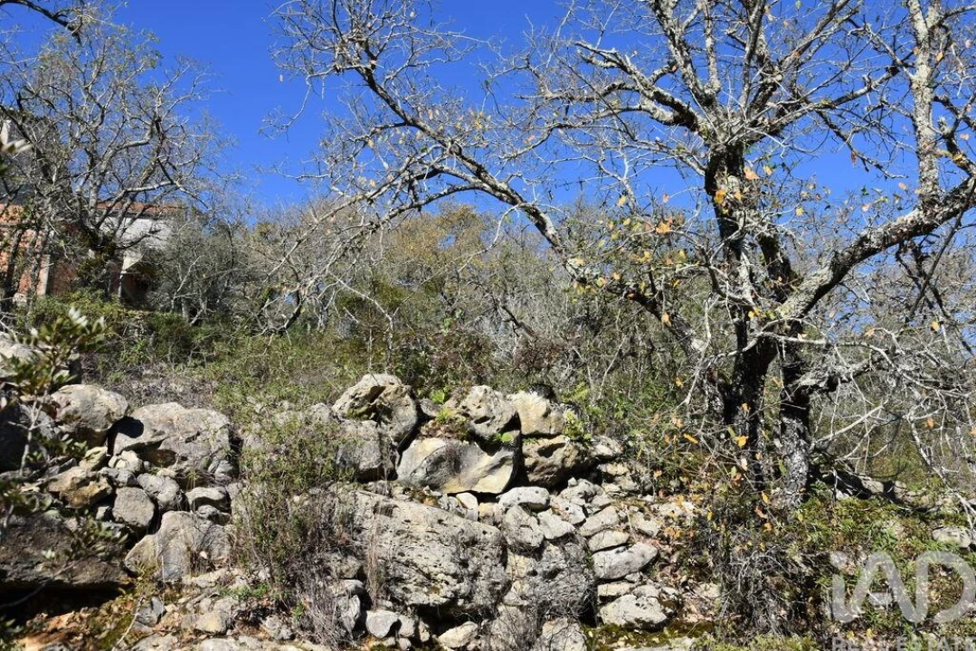 Terreno para Venda em Chãos Foto 19