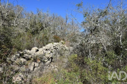 Terreno para Venda em Chãos