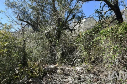Terreno para Venda em Chãos