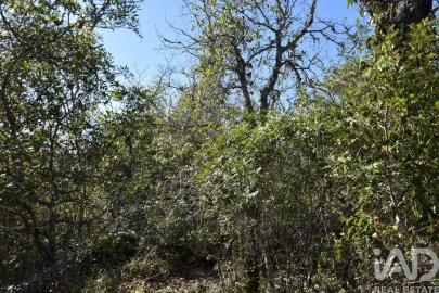 Terreno para Venda em Chãos