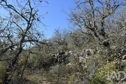 Terreno para Venda em Chãos