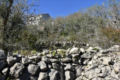 Terreno para Venda em Chãos