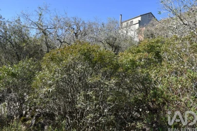 Terreno para Venda em Chãos