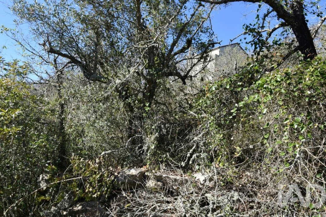 Terreno para Venda em Chãos Foto 10