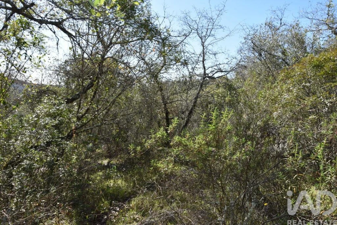 Terreno para Venda em Chãos Foto 11