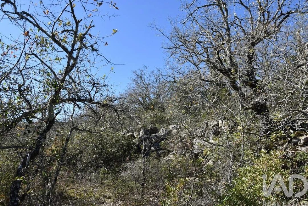 Terreno para Venda em Chãos Foto 5
