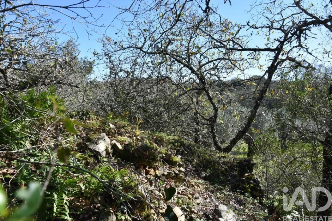 Terreno para Venda em Chãos Foto 8