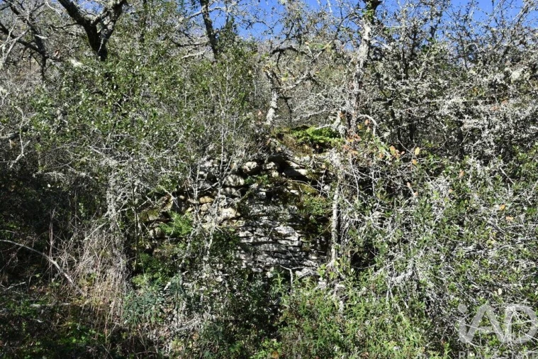Terreno para Venda em Chãos Foto 6