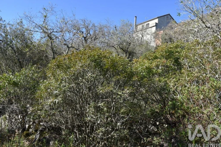 Terreno para Venda em Chãos Foto 12