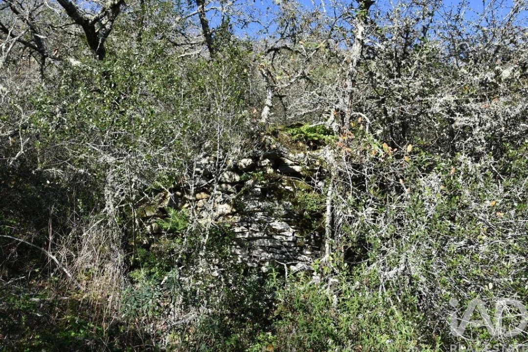 Terreno para Venda em Chãos Foto 6
