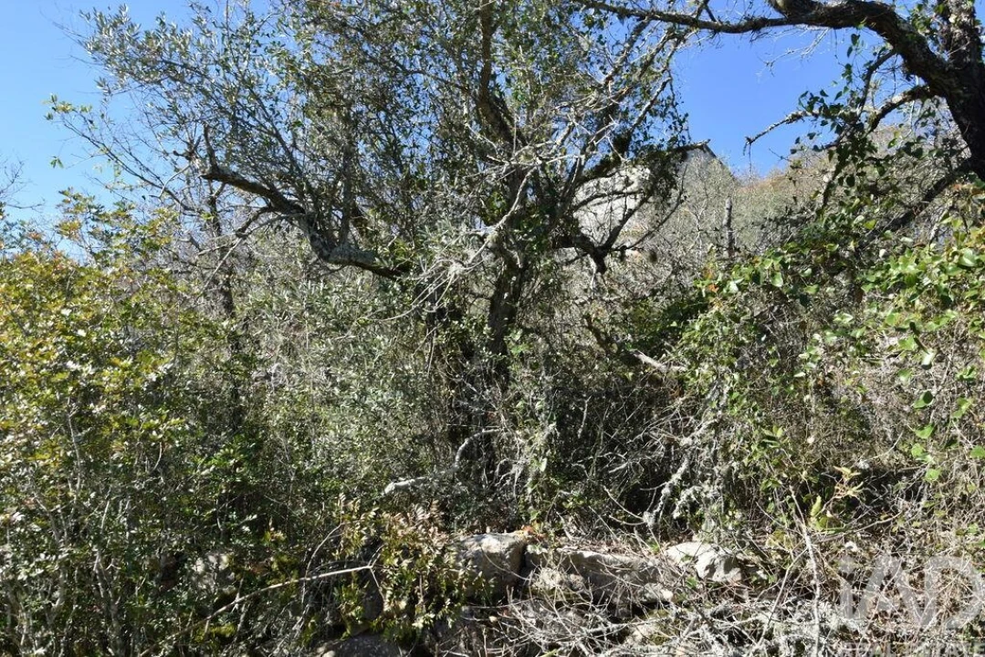 Terreno para Venda em Chãos Foto 9