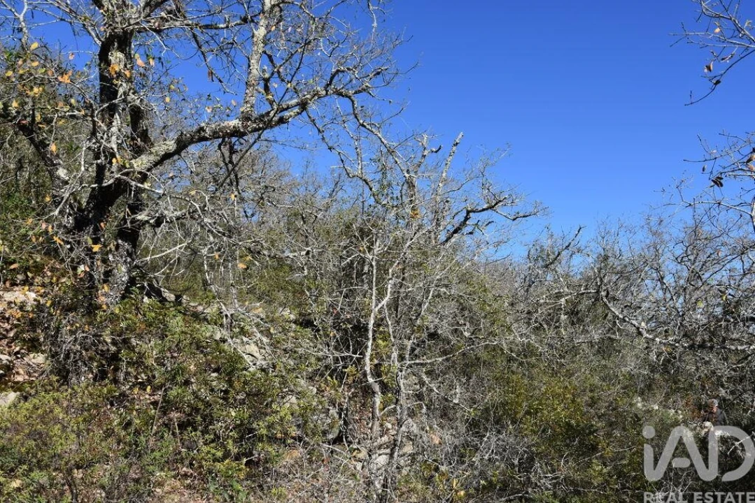 Terreno para Venda em Chãos Foto 20