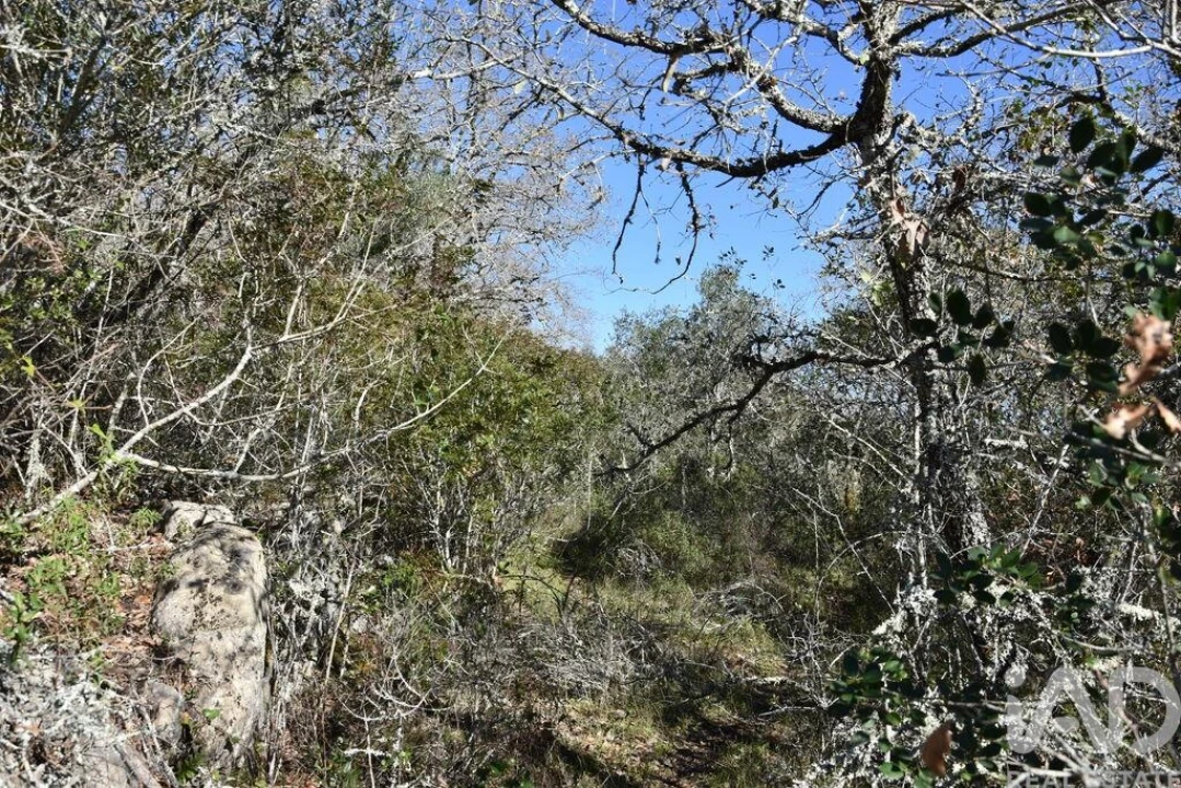 Terreno para Venda em Chãos Foto 13