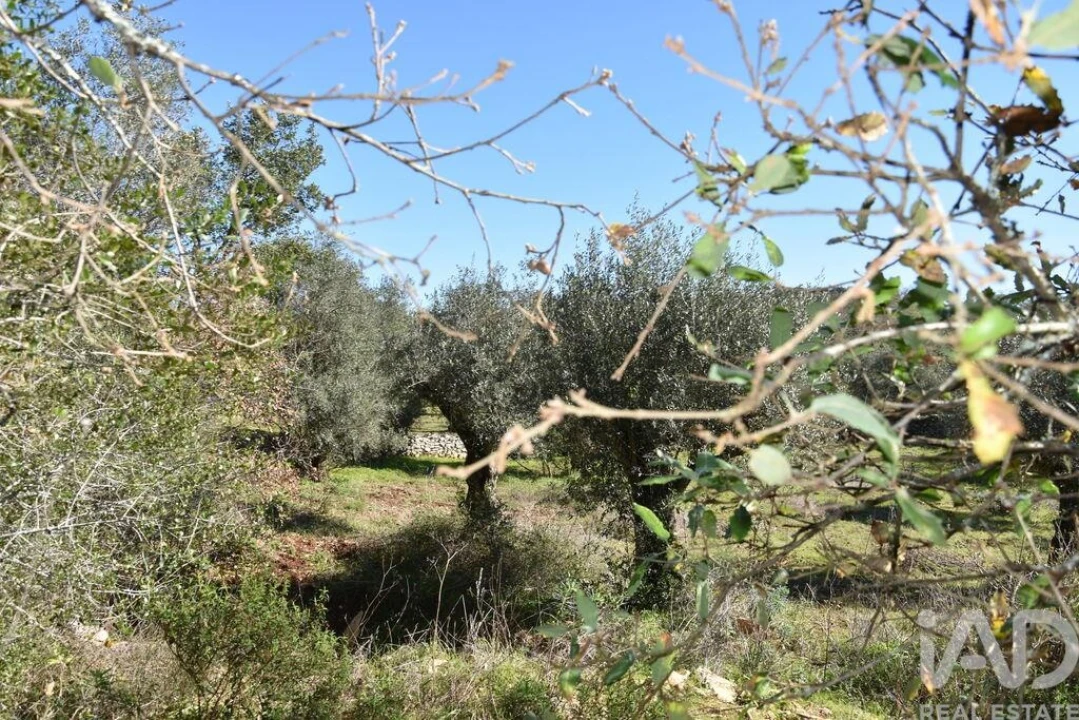 Terreno para Venda em Chãos Foto 7