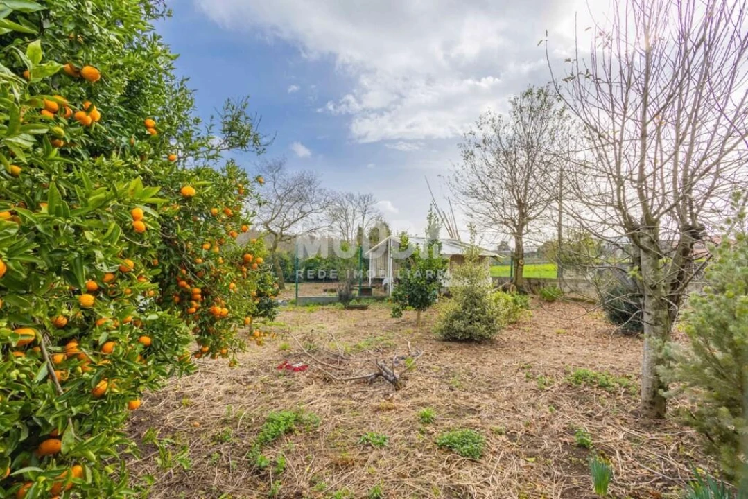 Terreno para Venda em São Martinho da Gandara Foto 15