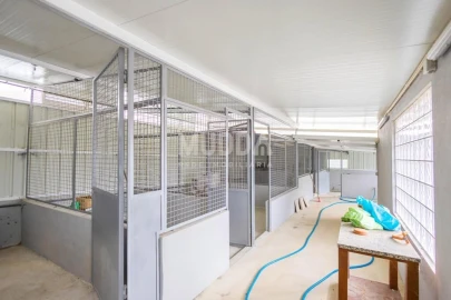 Terreno para Venda em São Martinho da Gandara