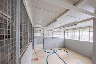 Terreno para Venda em São Martinho da Gandara