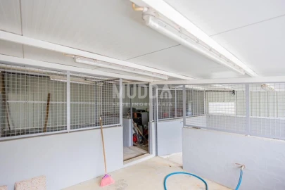 Terreno para Venda em São Martinho da Gandara