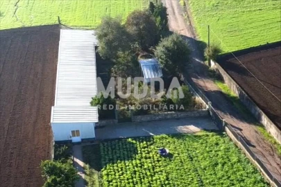 Terreno para Venda em São Martinho da Gandara